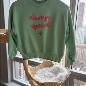 Zara Mint Green Crewneck Sweatshirt